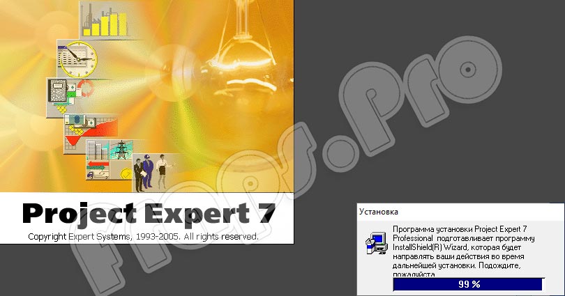 Project Expert Professional 7.21